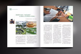 圖 深圳石巖產品畫冊設計,企業(yè)畫冊專業(yè)設計,石巖折頁設計公司 深圳設計策劃